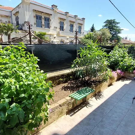 Sally Rijeka
